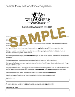 Sample FY 2026-2027 GIA Application